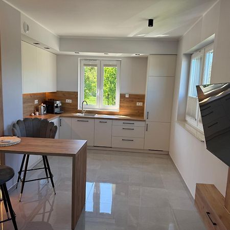 Apartament Nad Barycza Милич Екстериор снимка